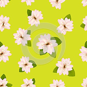 Spring cherry blossoms.ÃÂ Seamless pattern with JapaneseÃÂ sakura. Pink flowers on yellow background. RomanticÃÂ Vector illustration.